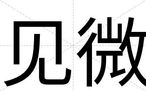 见微
