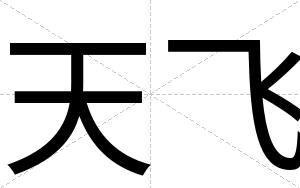 天飞