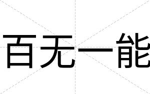 百无一能