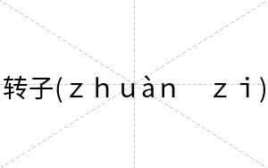 转子(ｚｈｕàｎ　ｚｉ)