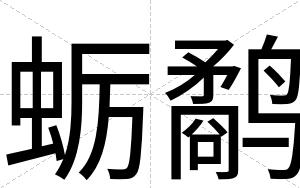 蛎鹬