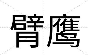 臂鹰