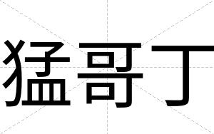 猛哥丁