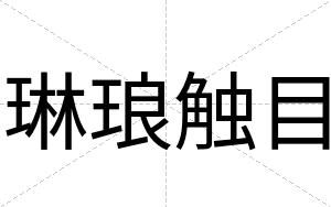 琳琅触目