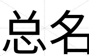总名