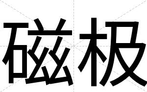 磁极