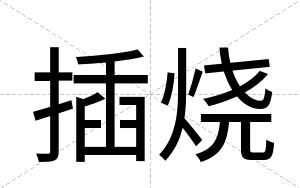 插烧