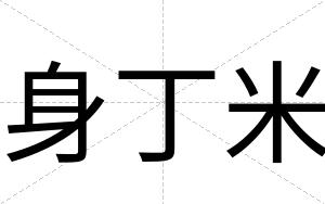 身丁米