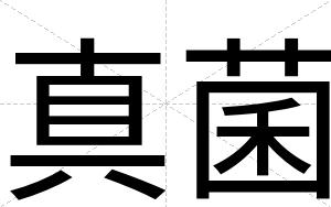 真菌