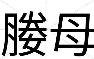 媵母