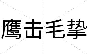 鹰击毛挚