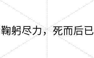 鞠躬尽力，死而后已