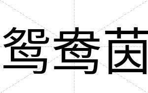 鸳鸯茵