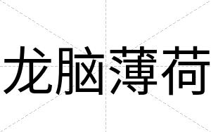 龙脑薄荷