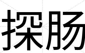 探肠