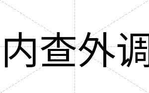 内查外调
