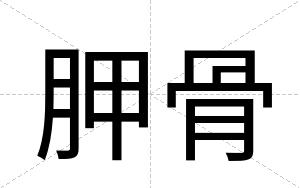 胛骨