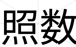 照数