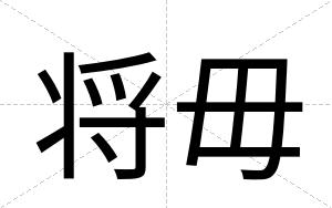 将毋