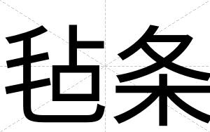 毡条