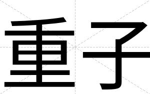 重子