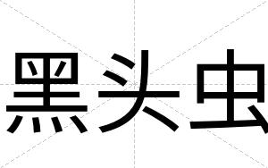 黑头虫