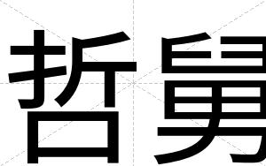 哲舅