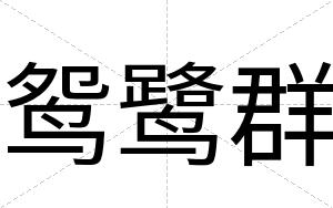 鸳鹭群