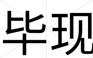毕现