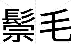 鬃毛