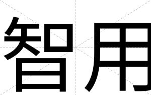 智用