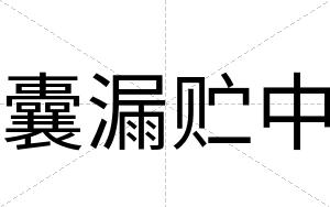 囊漏贮中