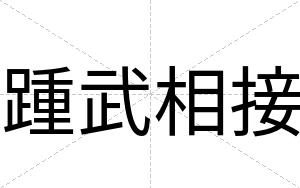 踵武相接