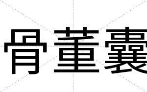 骨董囊