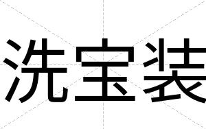 洗宝装