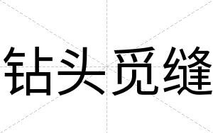 钻头觅缝