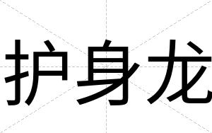 护身龙