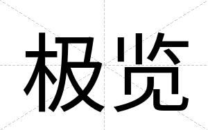 极览