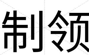 制领