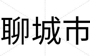 聊城市