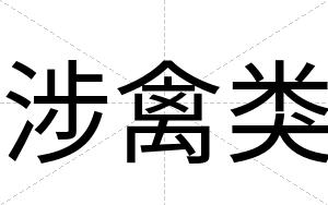 涉禽类
