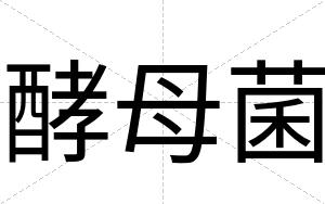 酵母菌