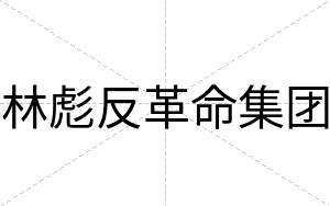 林彪反革命集团