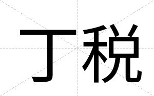 丁税