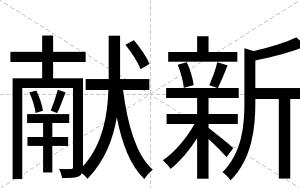 献新