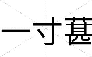 一寸葚