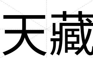 天藏