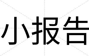 小报告