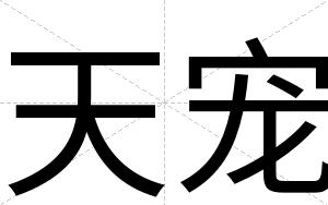 天宠