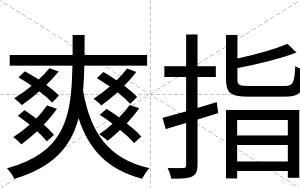爽指